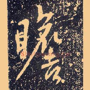 瞻