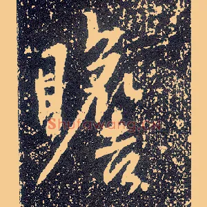 瞻