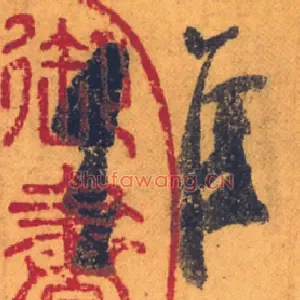 維