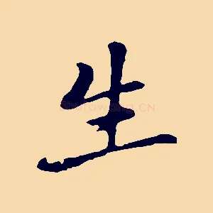 生