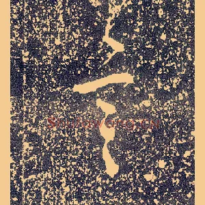 言