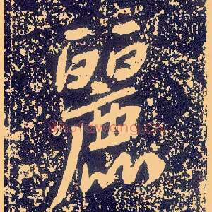 丽