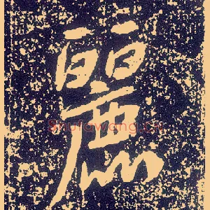 丽