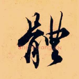 體