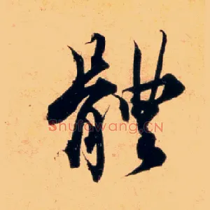 體