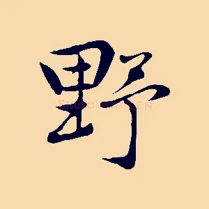 野