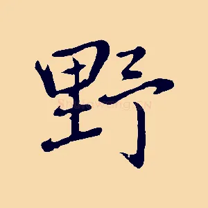 野