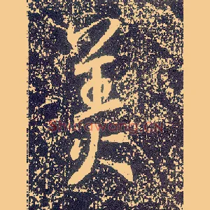 美
