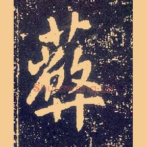 蔽