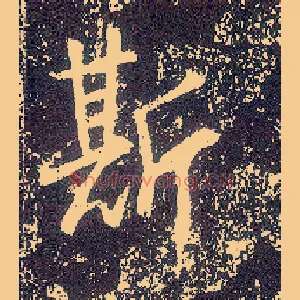 斯