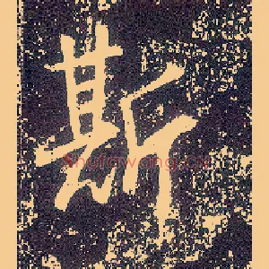 斯