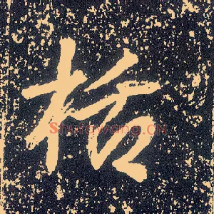 栝