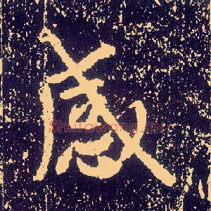 感