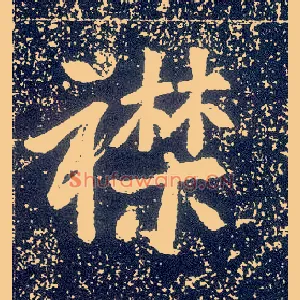 襟