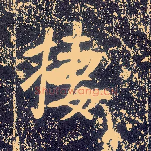 栖