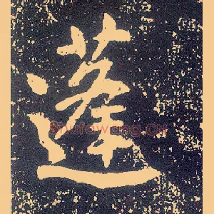 蓬