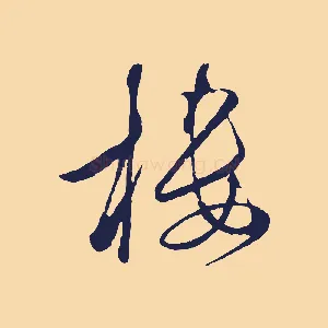 樓