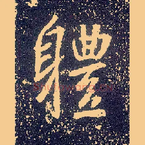 体