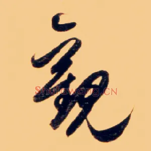 观