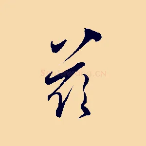 玆