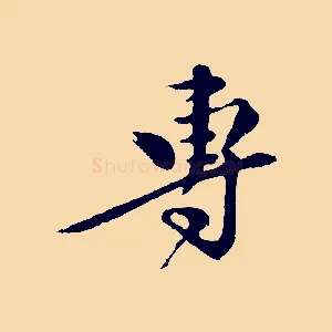 專