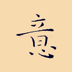 意