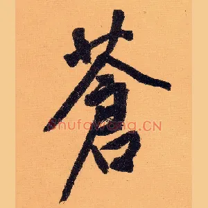 苍