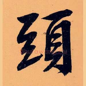 头
