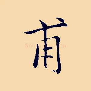 甫