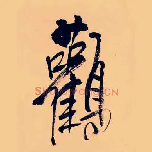 鸛