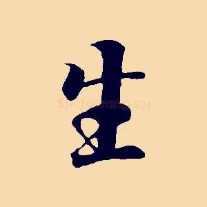 生