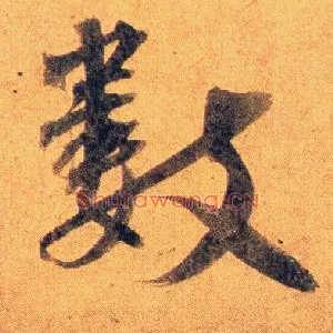 数