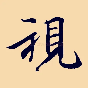 視