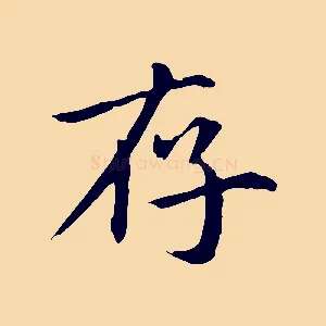 存