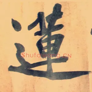 莲