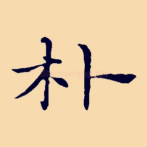 朴