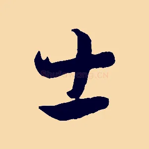士