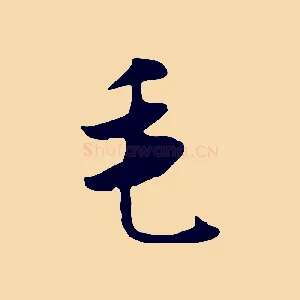 毛