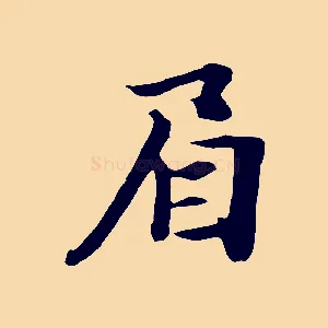 眉