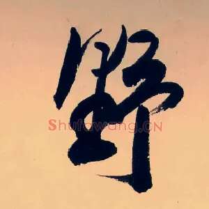 野