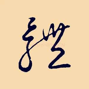 體