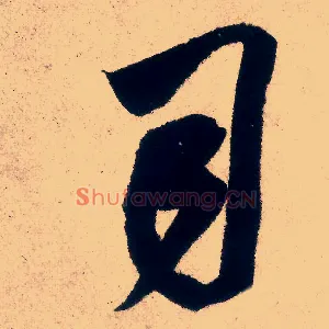 司