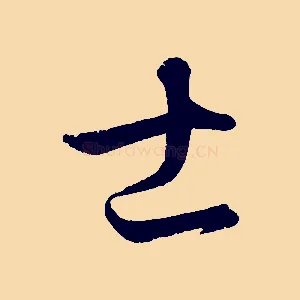 士