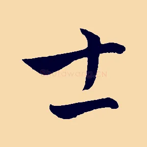 士