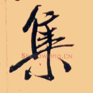 集