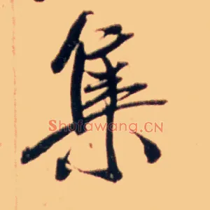 集