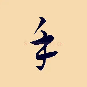 手