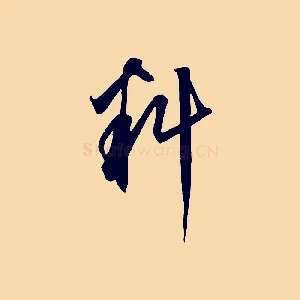 料