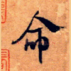 命