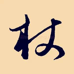 杖